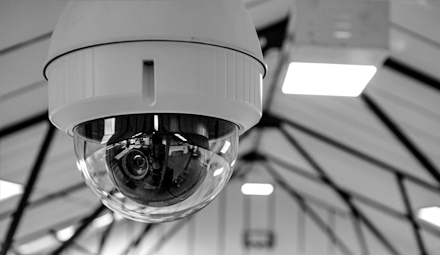 Specialized Training Programs